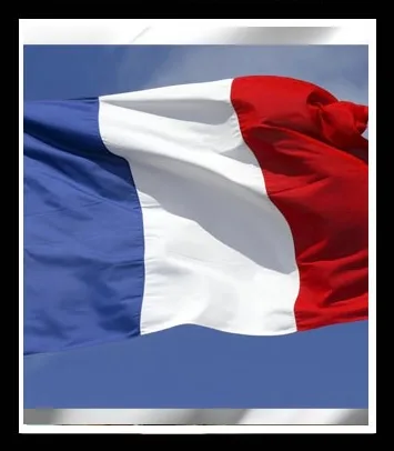 FRANCE CCV – 99% FRESH SNIFFED CCV